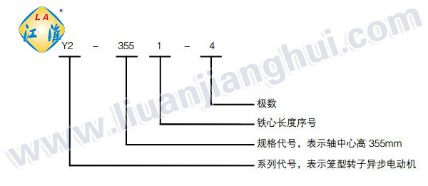 Y2緊湊型高壓三相異步電動(dòng)機(jī)_型號(hào)意義說(shuō)明_六安江淮電機(jī)有限公司