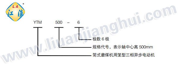 YTM磨煤機(jī)用高壓三相異步電動機(jī)_型號意義說明_六安江淮電機(jī)有限公司