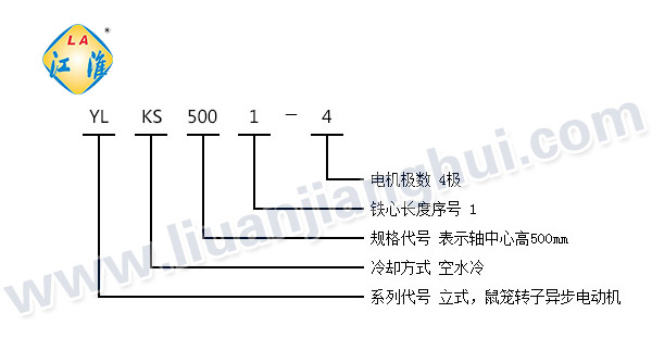 YLKS高壓立式三相異步電動(dòng)機(jī)_型號意義說明_六安江淮電機(jī)有限公司