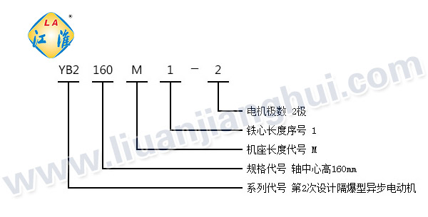 YB2高壓隔爆型三相異步電動(dòng)機(jī)_型號(hào)意義說(shuō)明_六安江淮電機(jī)有限公司