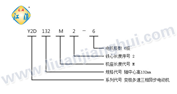 Y2D系列變極多速三相異步電動(dòng)機(jī)_型號(hào)意義說(shuō)明_六安江淮電機(jī)有限公司